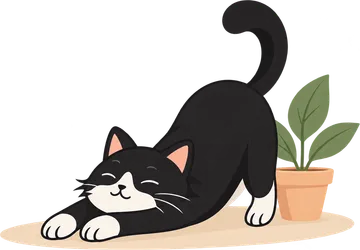 A cat stretching next to a small plant
