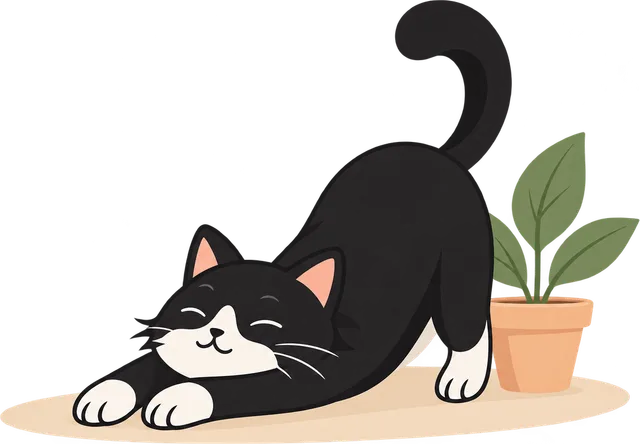 A relaxed black-and-white cat stretching beside a small plant